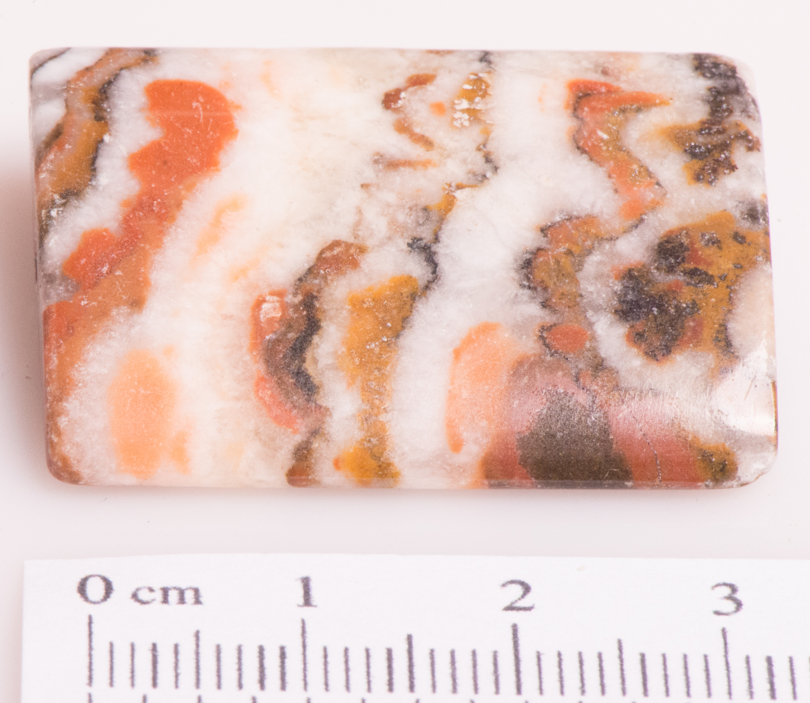 Jasper Bacon 01