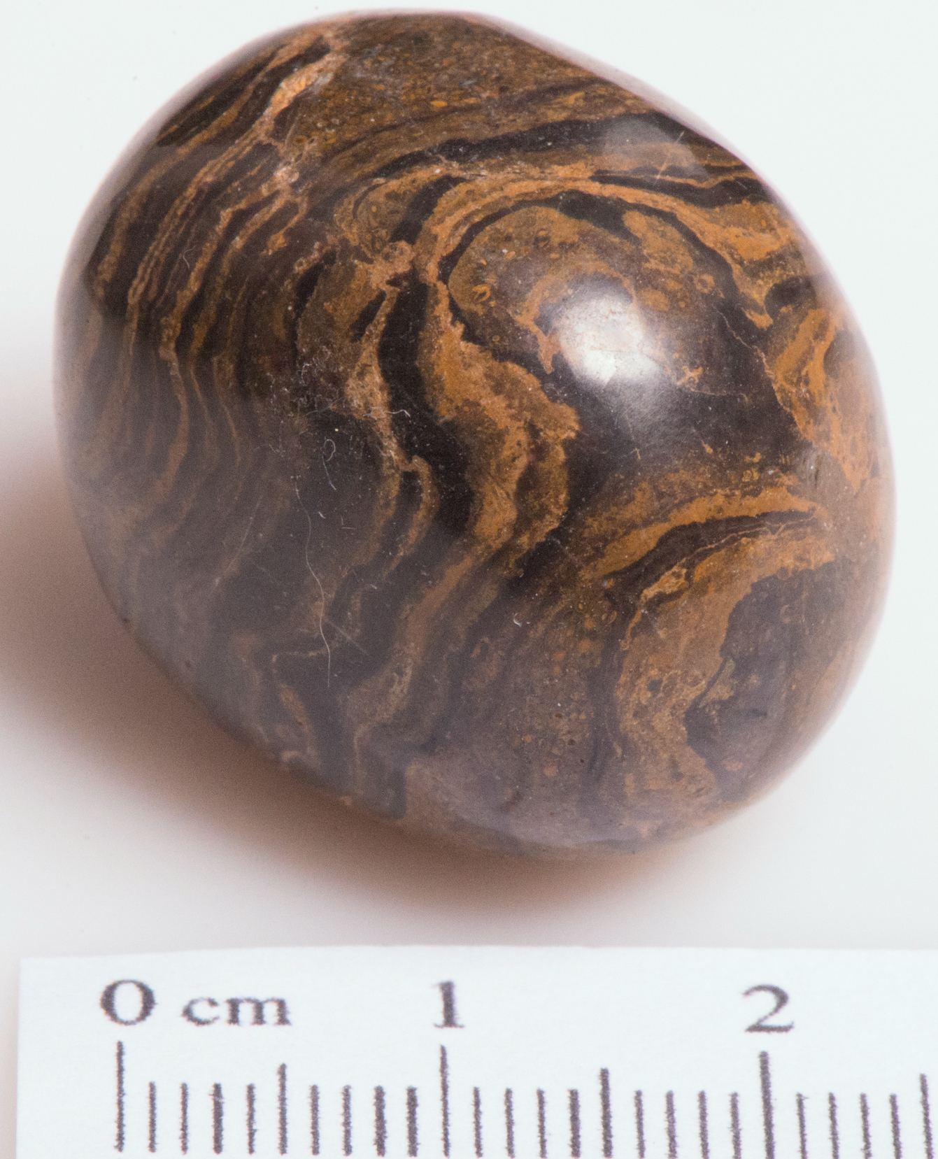 Jasper Genesis 01