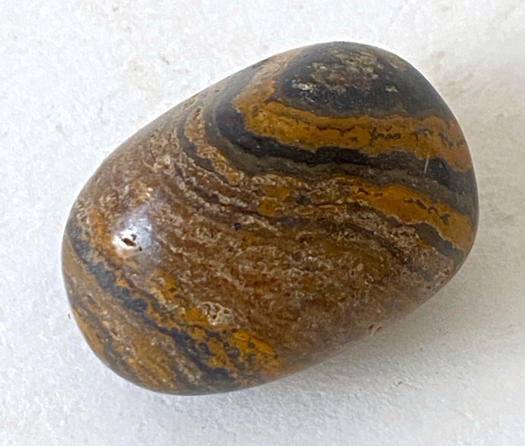 Jasper Genesis 02