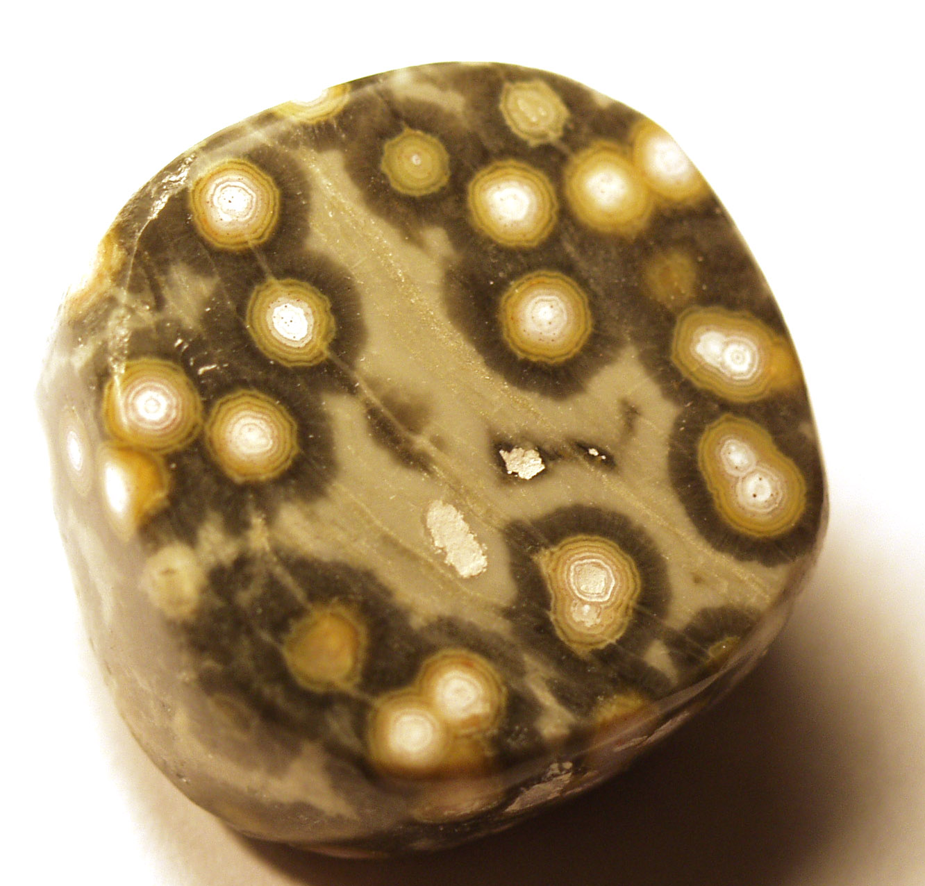Jasper Ocean 01