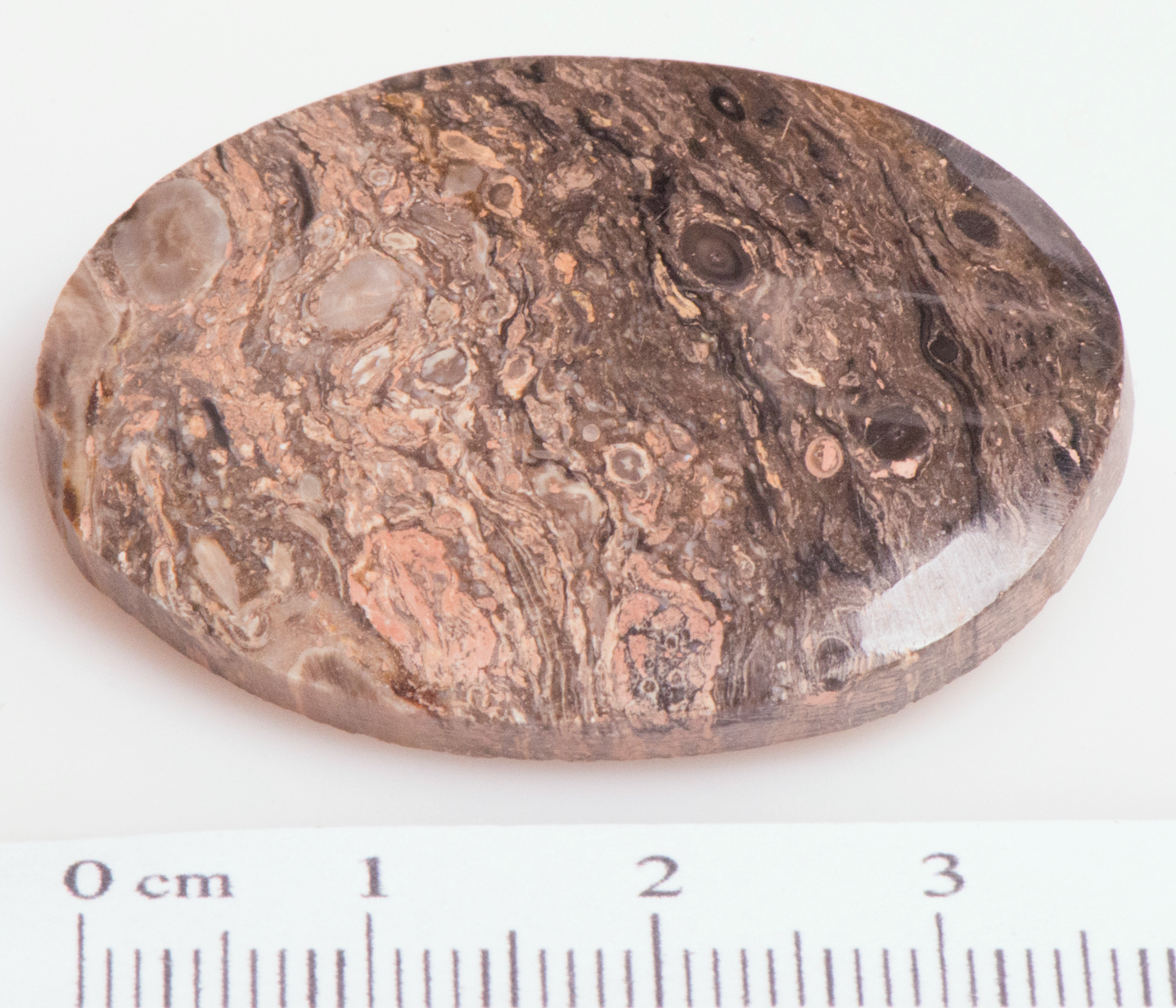 Jasper 02