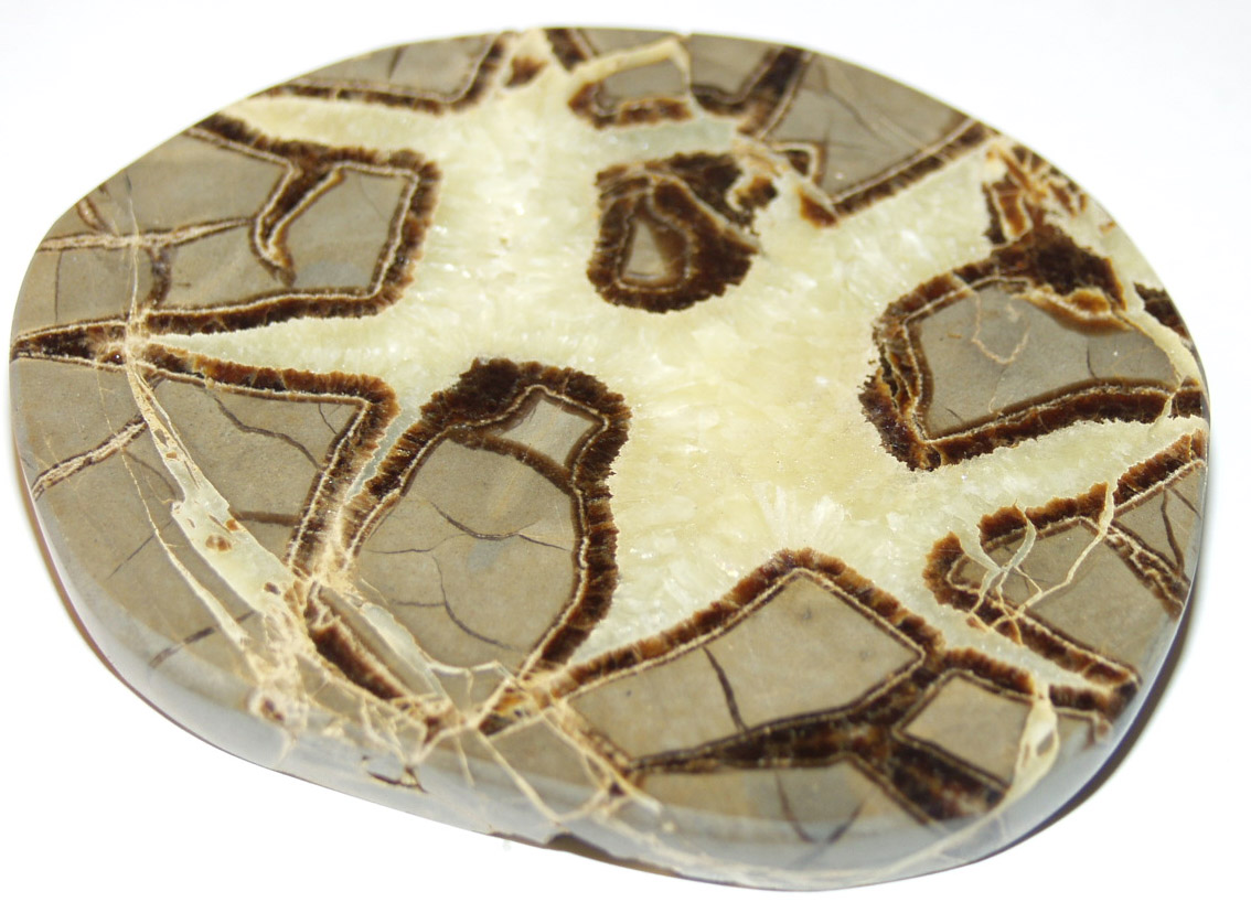 Septarian Nodule 02