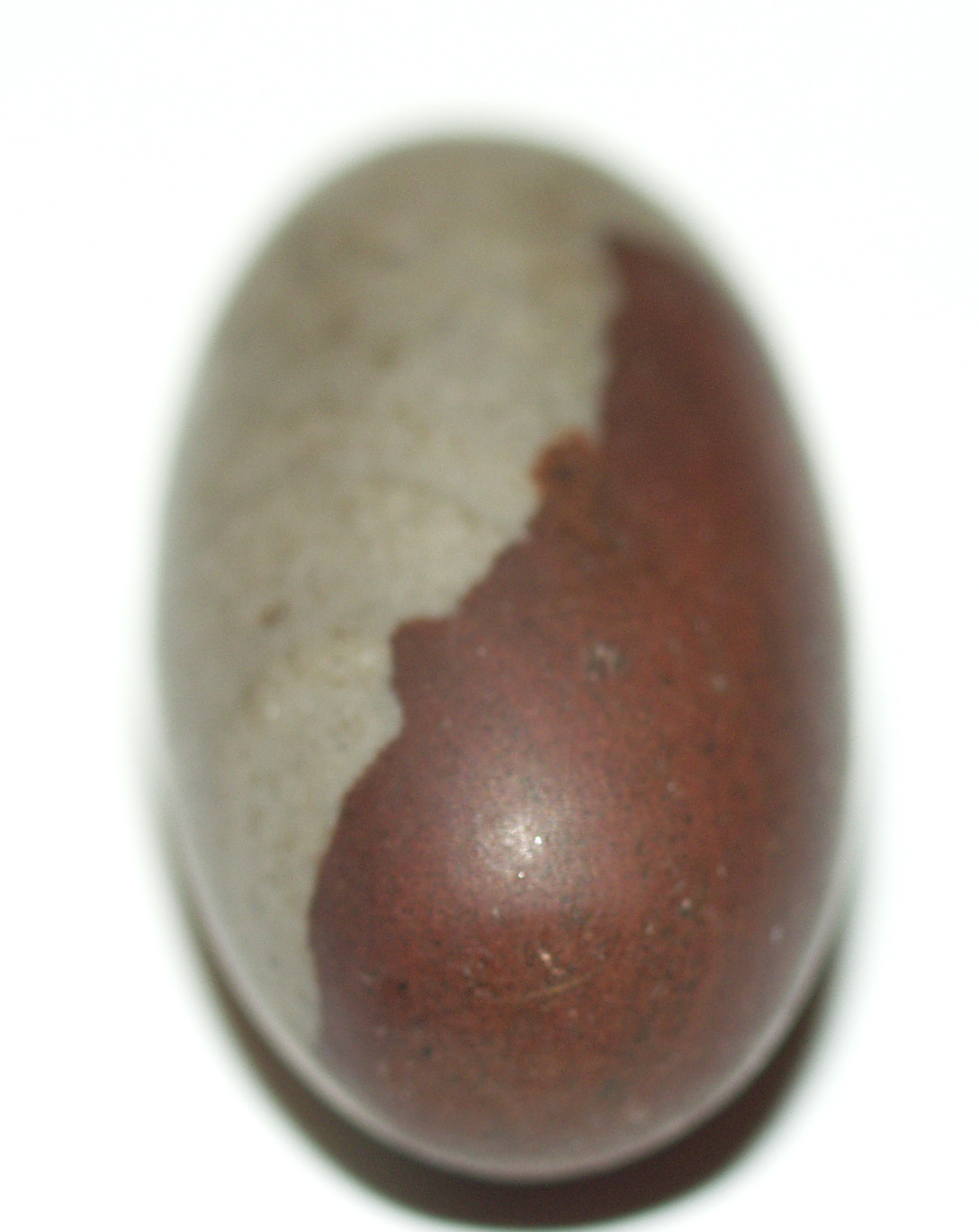 Shiva Lingam