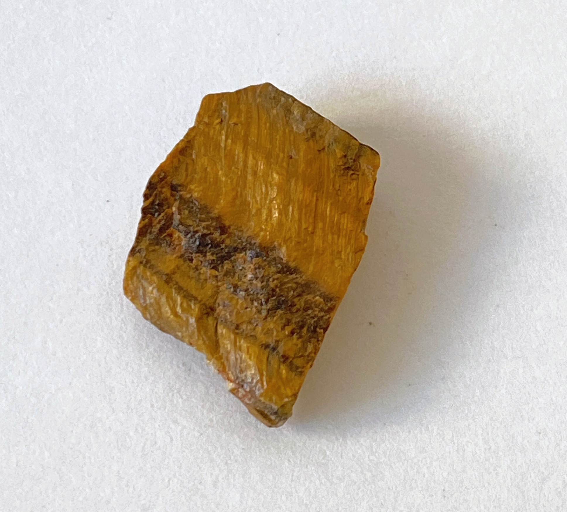 Tiger Eye Gold 08