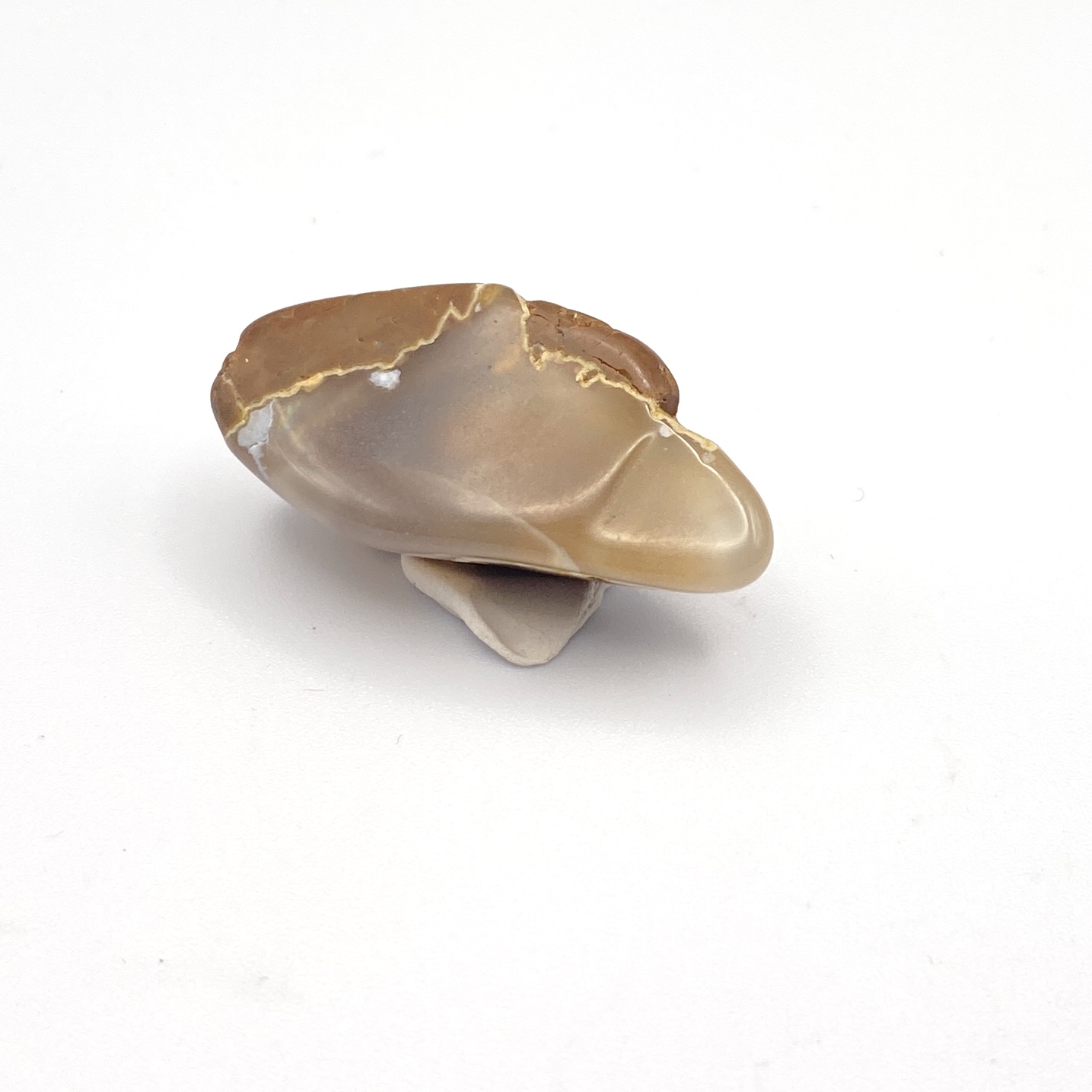 Agate 51