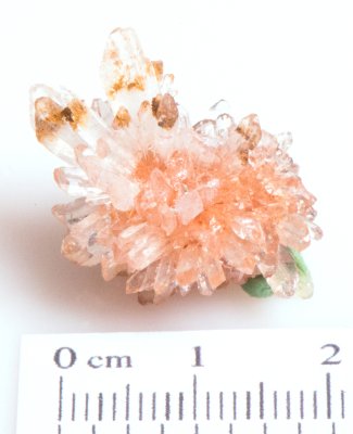 Creedite