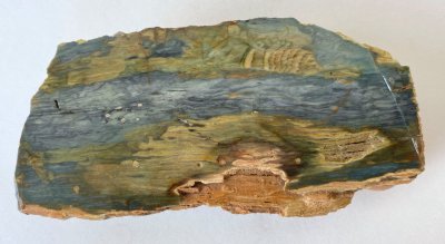 Petrified Bog Wood 02