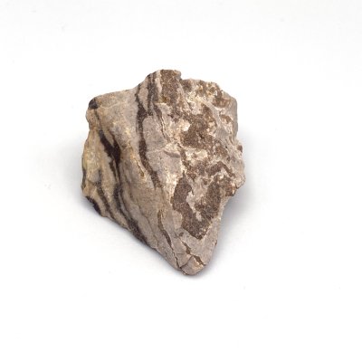 Jasper Zebra 06