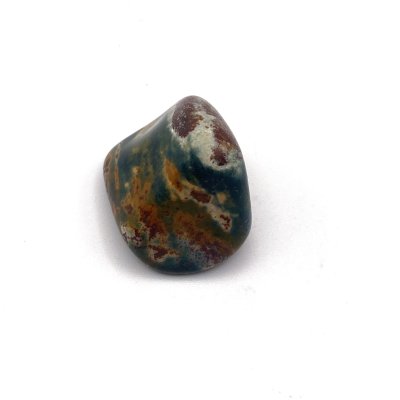 Jasper Fancy 03